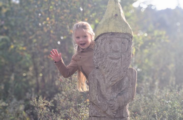 Schoorlse duinen