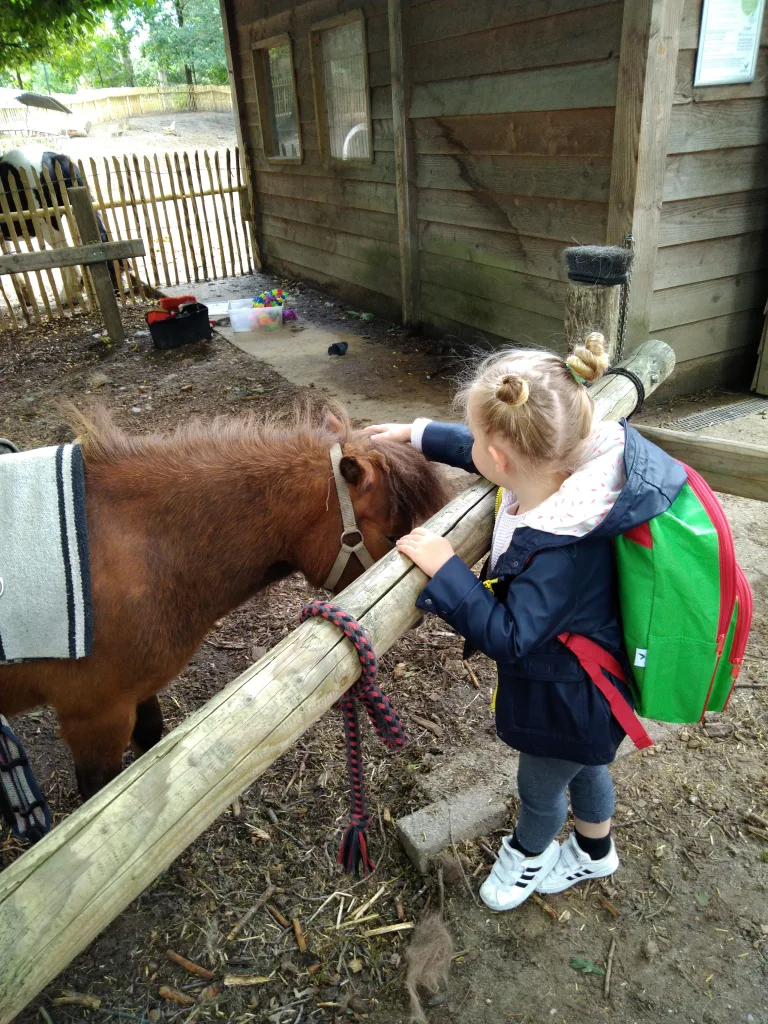 Center Parcs Erperheide pony rijden