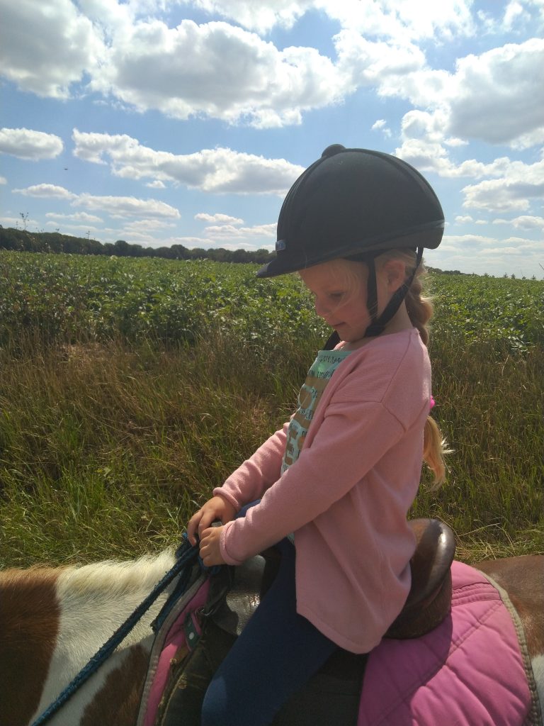 Landal Lommerbergen pony rijden
